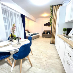 Embassy Studio Mamaia Nord - piscina pe acoperis & parcare gratis